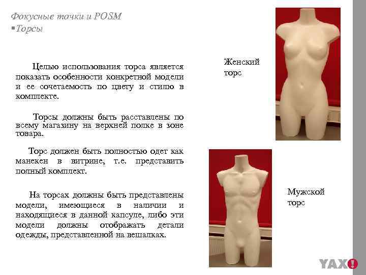 Фокусные точки и POSM §Торсы Целью использования торса является показать особенности конкретной модели и