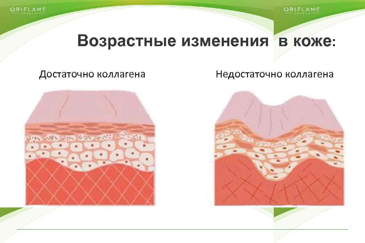 Возрастные изменения в коже: Достаточно коллагена Copyright © 2014 by Oriflame Cosmetics SA Недостаточно