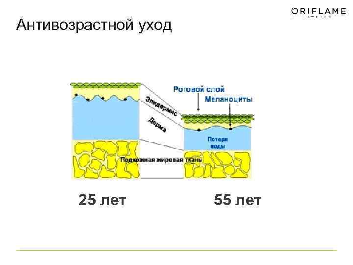 Антивозрастной уход 25 лет 55 лет 