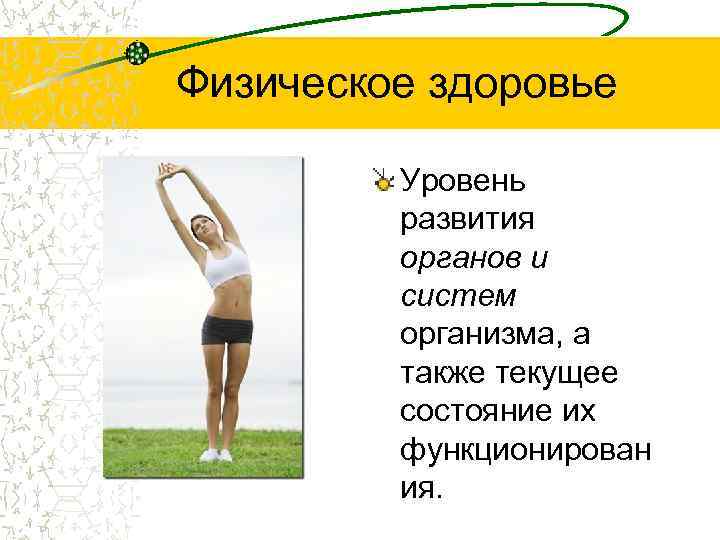 Физическое здоровье Уровень развития органов и систем организма, а также текущее состояние их функционирован