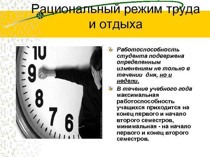 Рациональный режим труда и отдыха Работоспособность студента подвержена определенным изменениям не только в течении