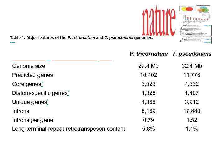 Table 1. Major features of the P. tricornutum and T. pseudonana genomes. | Figures