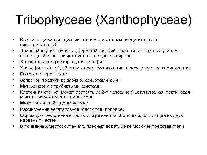 Tribophyceae (Xanthophyceae) • • • Все типы дифференциации таллома, исключая сарциноидных и сифонокладовый Длинный