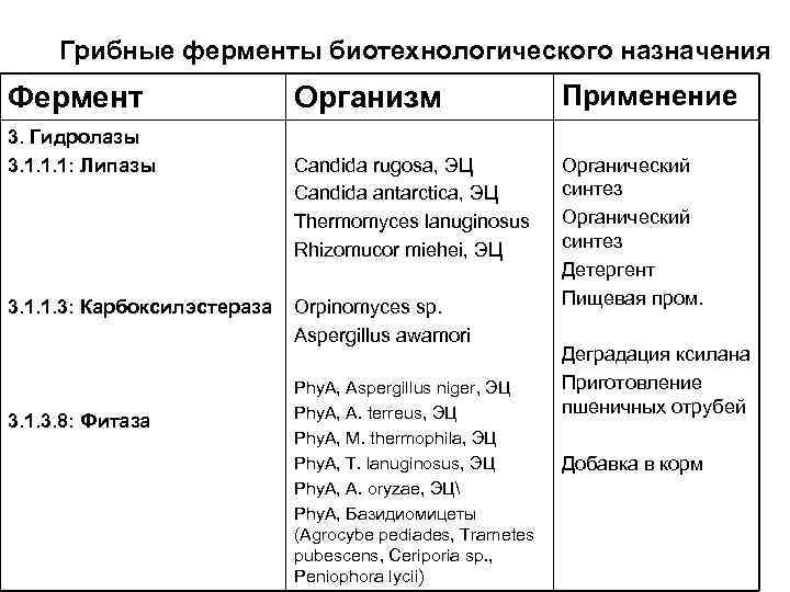 Грибные ферменты биотехнологического назначения Фермент 3. Гидролазы 3. 1. 1. 1: Липазы 3. 1.