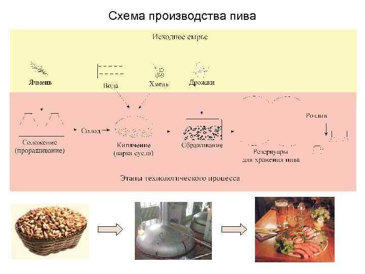 Схема производства пива 