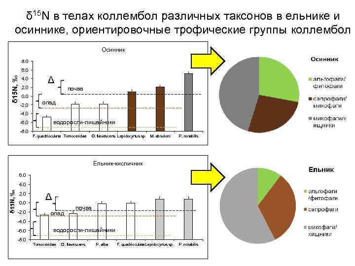 δ 15 N в телах коллембол различных таксонов в ельнике и осиннике, ориентировочные трофические