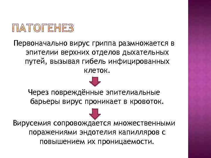 Первоначально вирус гриппа размножается в эпителии верхних отделов дыхательных путей, вызывая гибель инфицированных клеток.