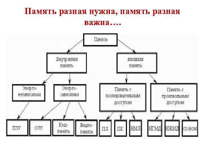 Разная память. Структура компьютерной мастерской. Память ПК: иерархия, Назначение различных видов памяти.. Граф структура виды памяти. Структура компьютерного мира.