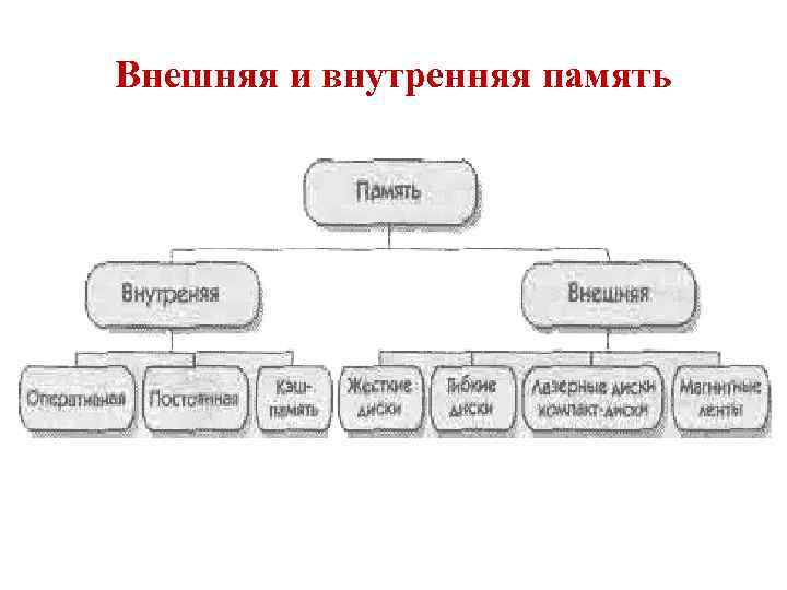 Составьте схему виды памяти