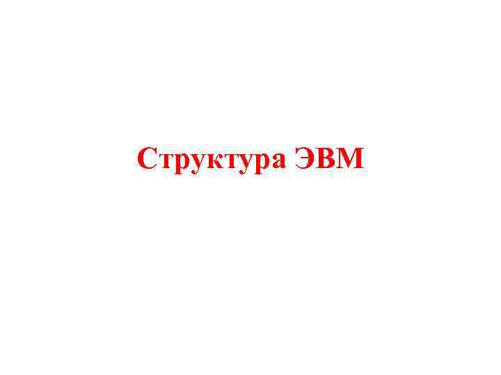Структура ЭВМ 