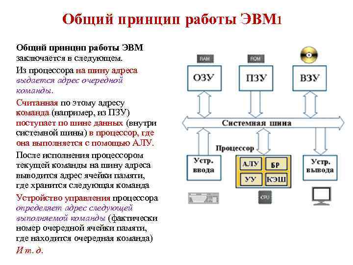 Описания вычислительных процессов. Основной принцип построения ЭВМ. Структурная схема ЭВМ первого поколения. Состав процессора ЭВМ. Структура вычислительной машины на базе общей шины.