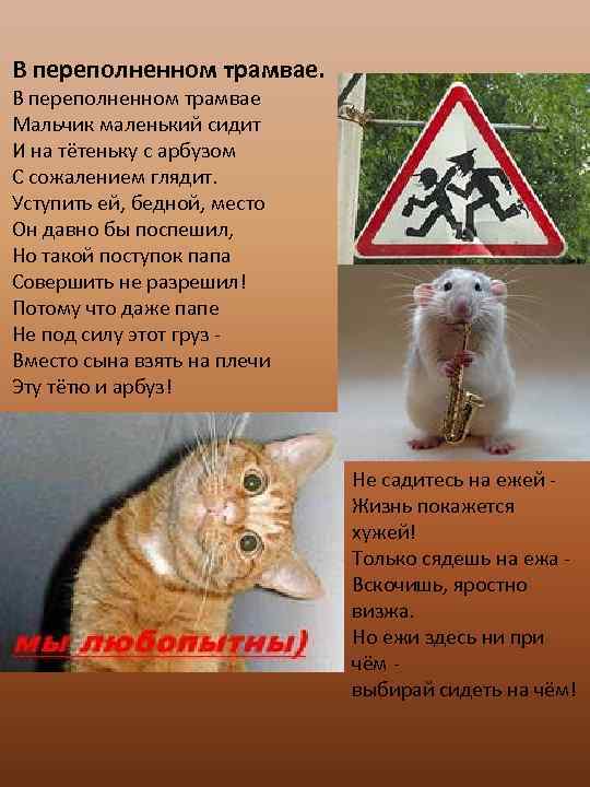 В переполненном трамвае Мальчик маленький сидит И на тётеньку с арбузом С сожалением глядит.