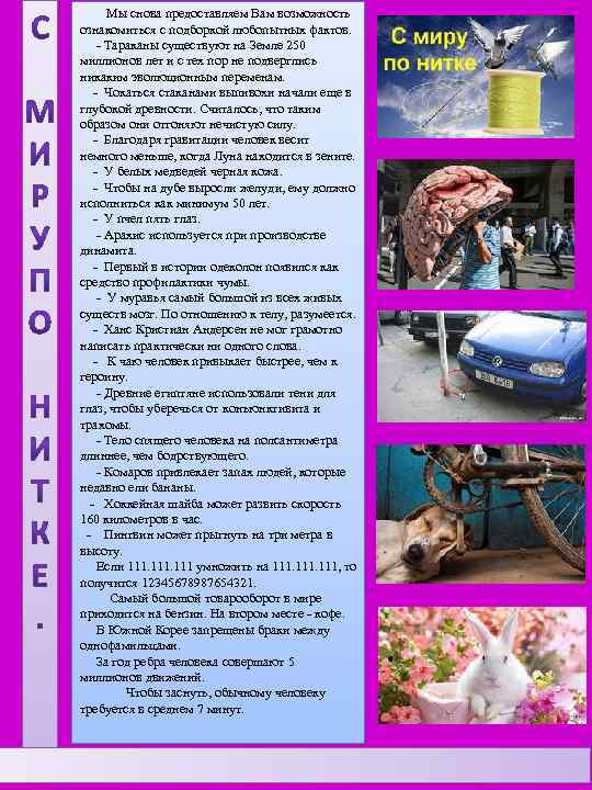  Мы снова предоставляем Вам возможность ознакомиться с подборкой любопытных фактов. - Тараканы существуют