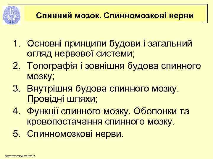 Cпинний мозок. Спинномозкові нерви 1. Основні принципи будови і загальний огляд нервової системи; 2.