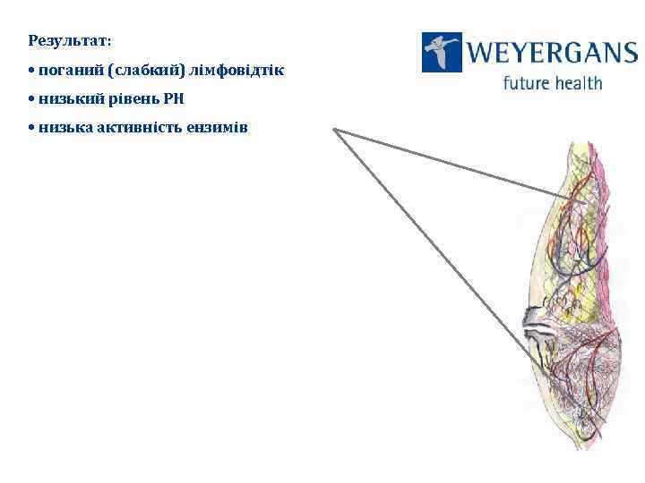 Результат: • поганий (слабкий) лімфовідтік • низький рівень РН • низька активність ензимів 