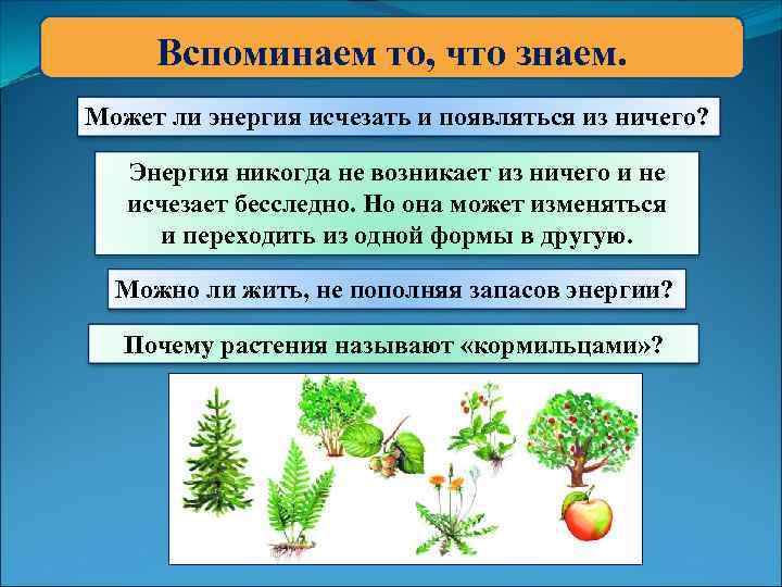 Вспоминаем то, что знаем. Может ли энергия исчезать и появляться из ничего? Энергия никогда