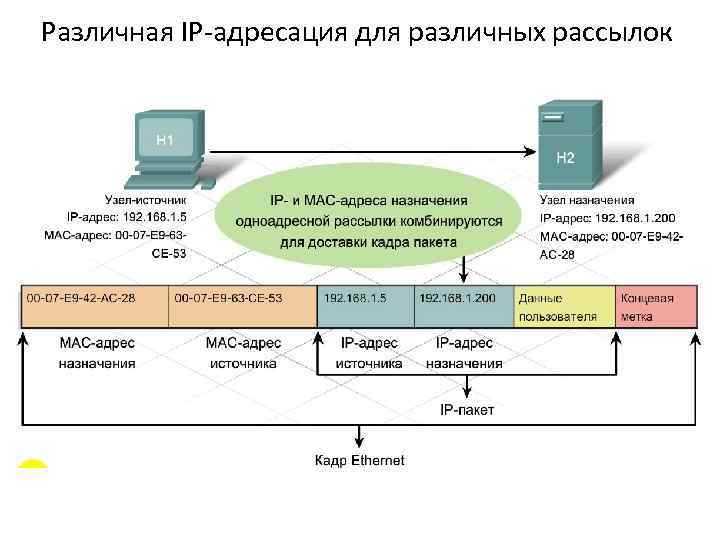 Различная IP-адресация для различных рассылок Помимо классов, IP-адреса делятся на категории, предназначенные для одноадресных,