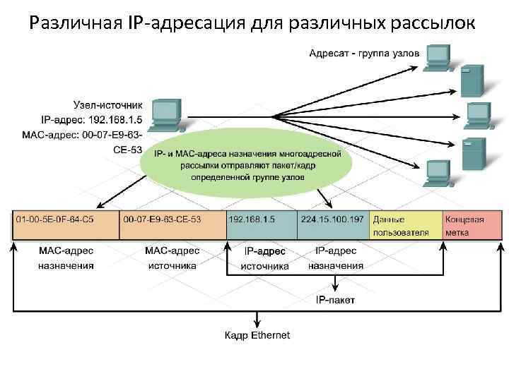 Различная IP-адресация для различных рассылок Многоадресная (multicast) рассылка Как и одноадресным или широковещательным адресам,