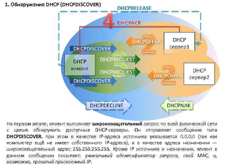 1. Обнаружение DHCP (DHCPDISCOVER) На первом этапе, клиент выполняет широковещательный запрос по всей физической