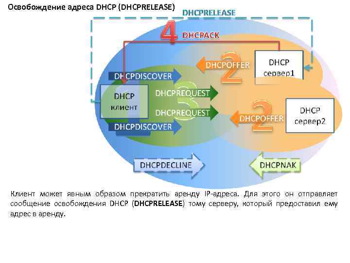 Освобождение адреса DHCP (DHCPRELEASE) Клиент может явным образом прекратить аренду IP-адреса. Для этого он