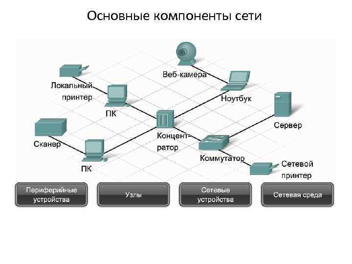 Основные компоненты сети 