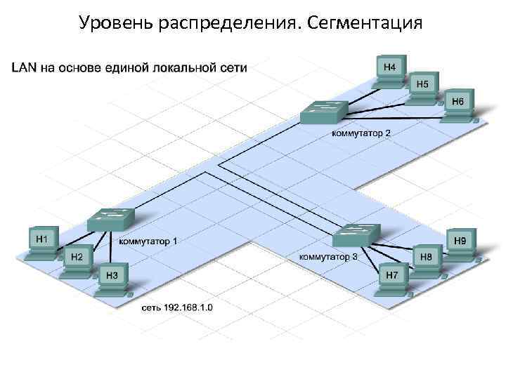 Уровень распределения. Сегментация 