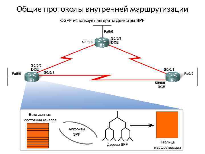 Общие протоколы внутренней маршрутизации В сетях с поддержкой OSPF маршрутизаторы обмениваются извещениями об изменениях