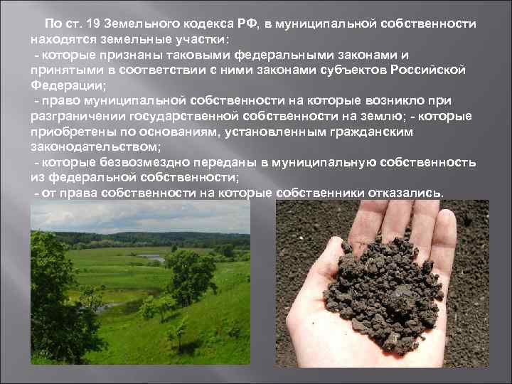 По ст. 19 Земельного кодекса РФ, в муниципальной собственности находятся земельные участки: - которые