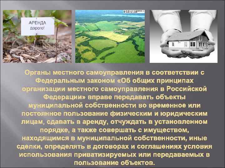 Органы местного самоуправления в соответствии с Федеральным законом «Об общих принципах организации местного самоуправления