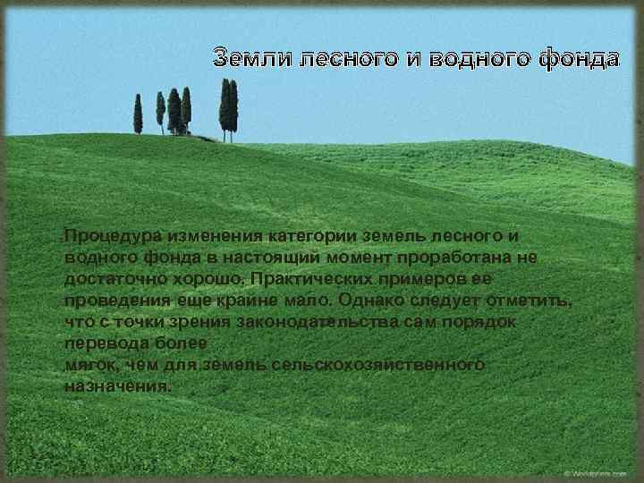 Земли лесного и водного фонда Процедура изменения категории земель лесного и водного фонда в