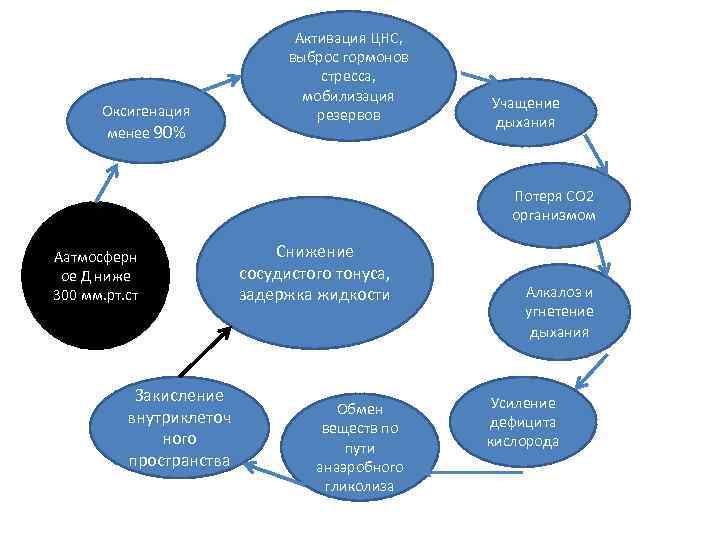 Оксигенация менее 90% Активация ЦНС, выброс гормонов стресса, мобилизация резервов Учащение дыхания Потеря СО