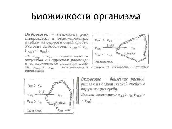 Биожидкости организма 