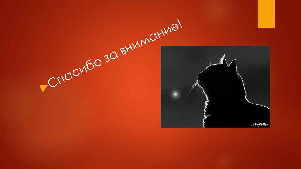 иб с за о па С ни в ан м е! и 