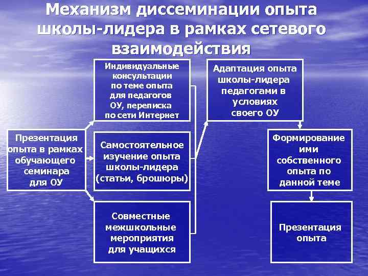 Механизм диссеминации опыта школы-лидера в рамках сетевого взаимодействия Индивидуальные консультации по теме опыта для