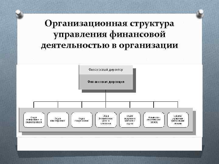 Организационная структура управления финансовой деятельностью в организации 