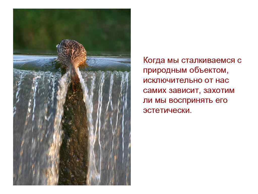 Когда мы сталкиваемся с природным объектом, исключительно от нас самих зависит, захотим ли мы