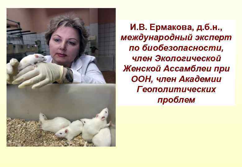 И. В. Ермакова, д. б. н. , международный эксперт по биобезопасности, член Экологической Женской