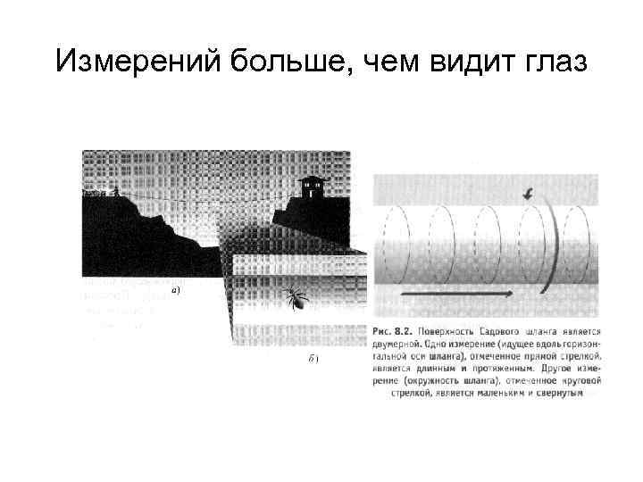 Измерений больше, чем видит глаз 