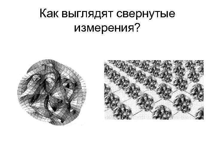 Как выглядят свернутые измерения? 