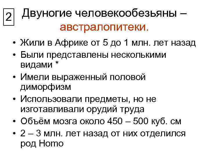 Двуногие человекообезьяны – 2 австралопитеки. • Жили в Африке от 5 до 1 млн.
