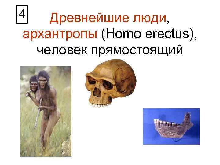 4 Древнейшие люди, архантропы (Homo erectus), человек прямостоящий 