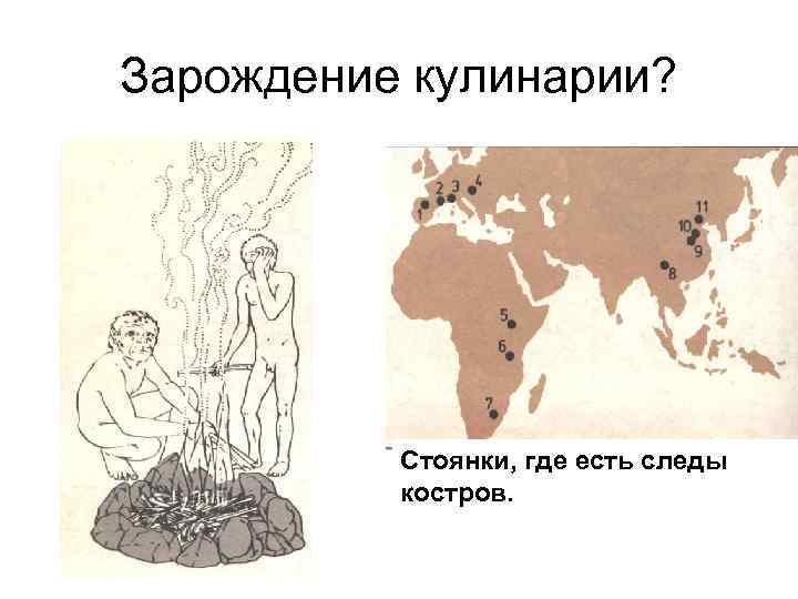 Зарождение кулинарии? Стоянки, где есть следы костров. 