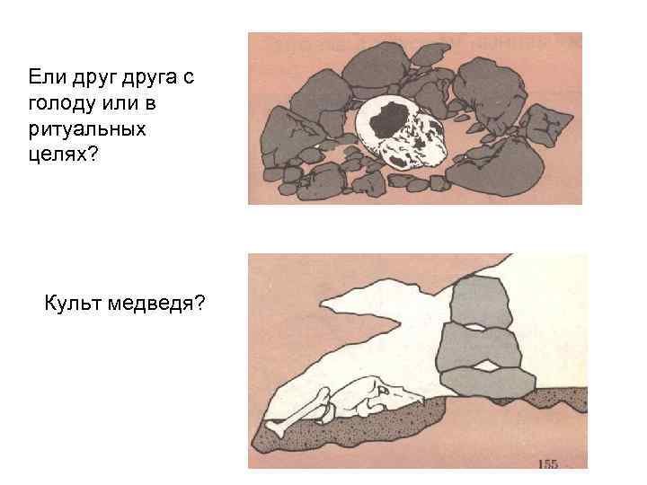 Ели друга с голоду или в ритуальных целях? Культ медведя? 