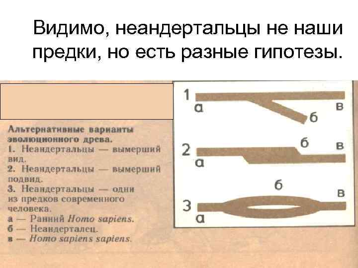 Видимо, неандертальцы не наши предки, но есть разные гипотезы. 