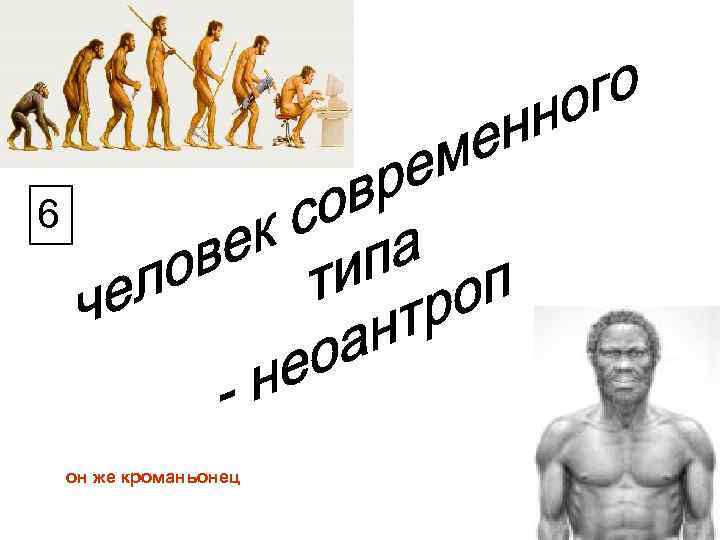 6 он же кроманьонец 