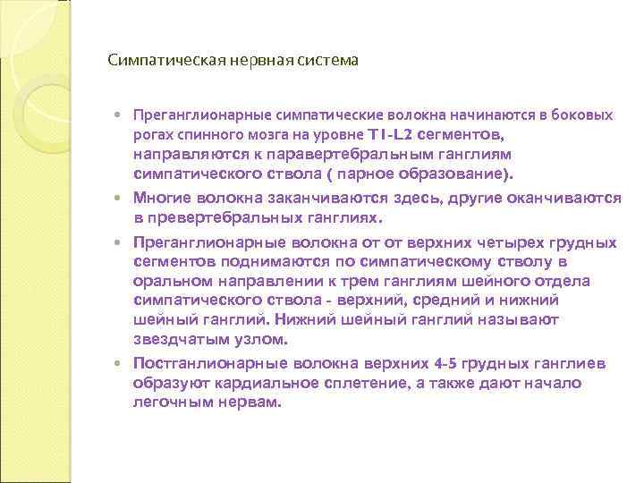 Симпатическая нервная система Преганглионарные симпатические волокна начинаются в боковых рогах спинного мозга на уровне