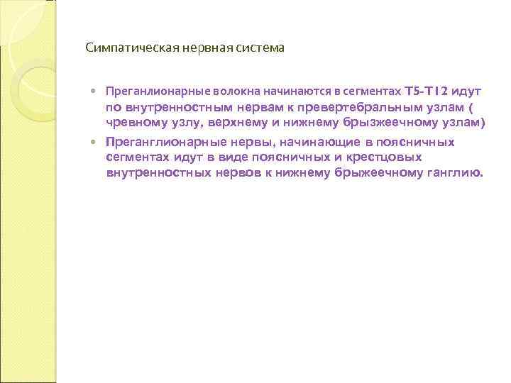 Симпатическая нервная система Преганлионарные волокна начинаются в сегментах T 5 -T 12 идут по