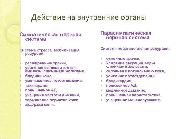 Действие на внутренние органы Симпатическая нервная система Парасимпатическая нервная система Система стресса, мобилизация ресурсов: