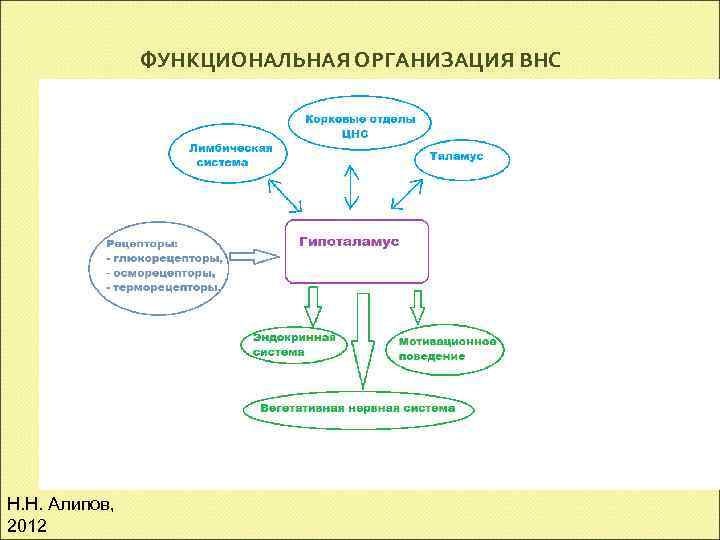 ФУНКЦИОНАЛЬНАЯ ОРГАНИЗАЦИЯ ВНС Н. Н. Алипов, 2012 
