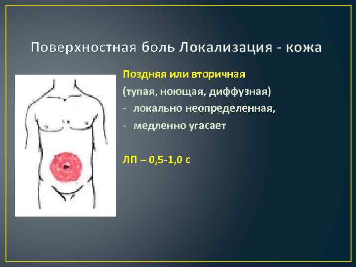 Поверхностная боль Локализация - кожа Поздняя или вторичная (тупая, ноющая, диффузная) - локально неопределенная,